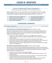 Director of Engineering - Automotive Executive Director of Engineering - Automotive Executive